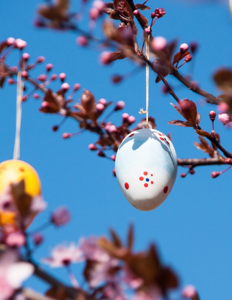 Easter photo, Egg and Tree